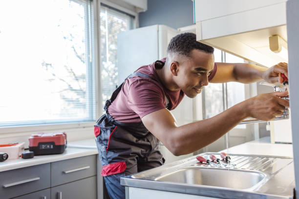 Best Plumbing Services Near Me  in Hamlet, IN